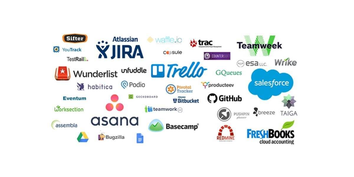 Warum wird Software immer beliebter?