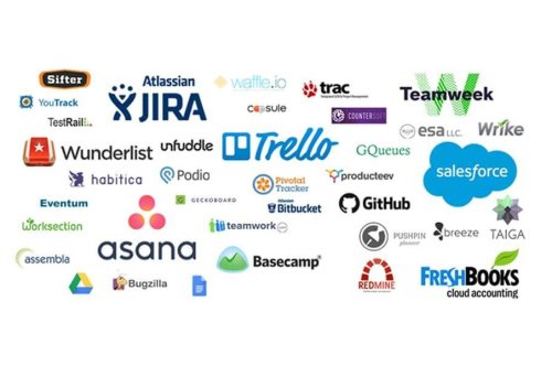 Warum wird Software immer beliebter?