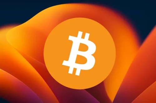 Understanding Flash BTC