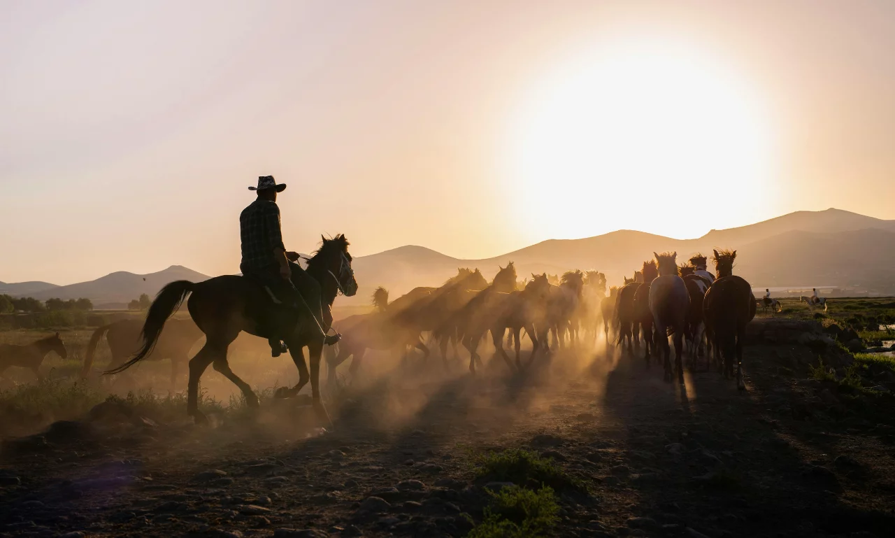 Red Dead Redemption 2 Ultimate Edition – Your Ultimate Western Journey Starts at playnox.net