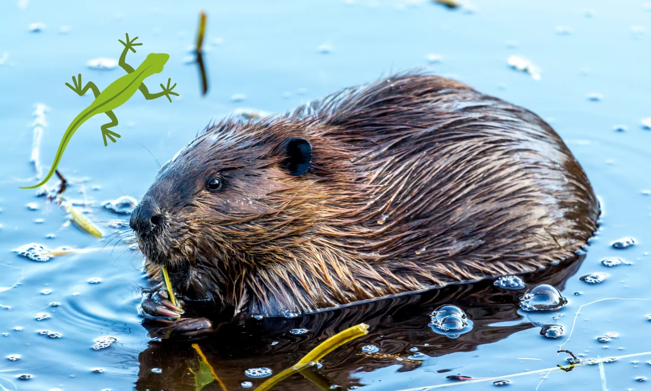 Rebuild, Survive, Thrive – Why You Need an Against the Storm Steam Key Right Now