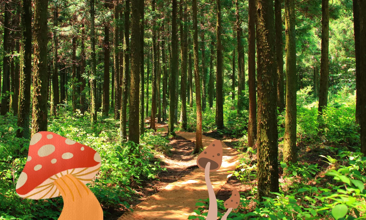 Bramble the Mountain King Steam Key – A Dark Fairytale That Stays with You