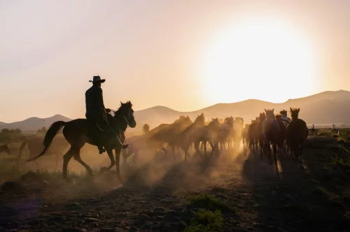 Red Dead Redemption 2 Ultimate Edition – Your Ultimate Western Journey Starts at playnox.net