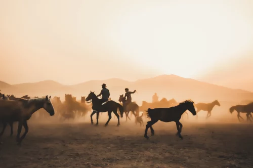 Red Redemption 2 Ultimate Edition – The Definitive Wild West Experience Awaits You at playnox.net