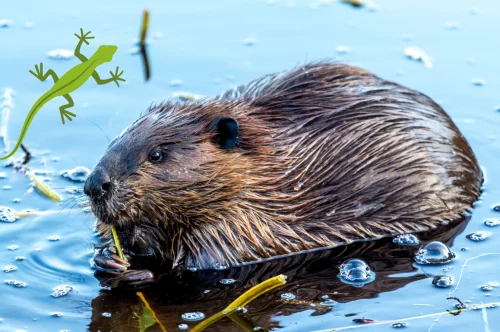 Rebuild, Survive, Thrive – Why You Need an Against the Storm Steam Key Right Now